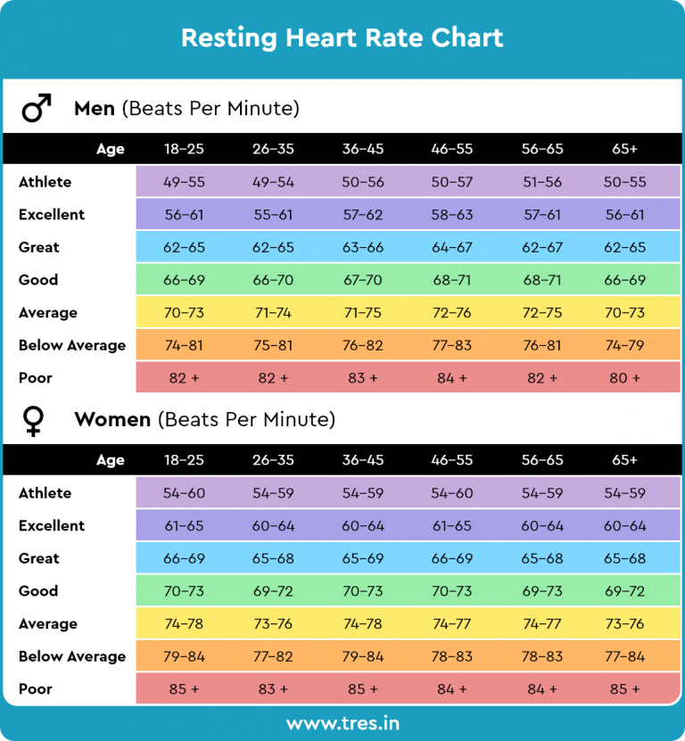 Resting Heart Rate (rhr) And Why It Is Important?